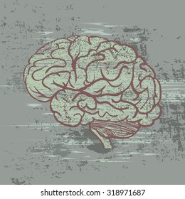 Brain in a profile in nervous strain
