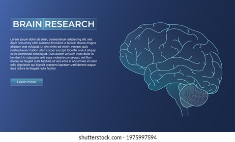 Brain research concept. Vector linear abstract illustration of a brain on a dark blue background. Web banner design template, landing page. Copy space.