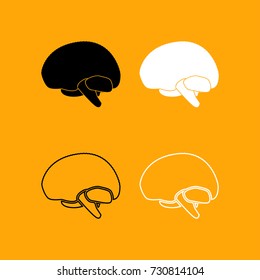 Brain set black and white icon .