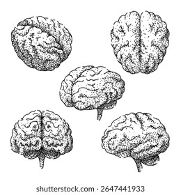 neuroplasticidade, percepção da consciência, córtex cerebral esboço do vetor cerebral. ilustração em preto isolado