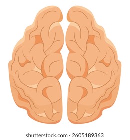 Brain set icon. Symmetrical pink brain illustration symbolizes intelligence, neuroscience, cognition, mental focus, human mind, analytical thinking.