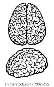 Brain. Set of Two Views. Vector Illustration