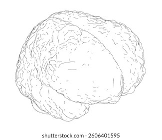 A brain is shown in black and white. The brain is shown in a very detailed manner, with every single part of it visible. The brain is shown as a whole, but it is also shown in sections