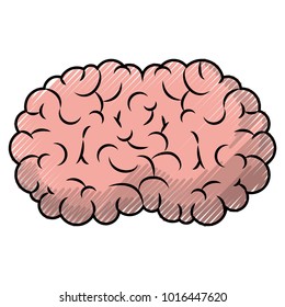 brain side view in colored crayon silhouette with black thin contour
