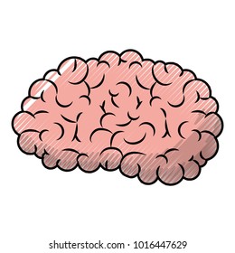  brain side view in colored crayon silhouette with black thin contour