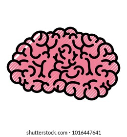 brain side view in colored crayon silhouette with black thick contour
