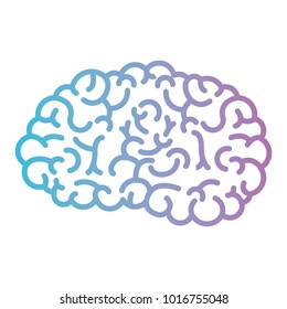 brain side view in degraded blue to purple color contour