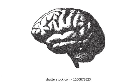 Brain Side View Illustration With Stipple Dot Drawing Style Isolated On White Background