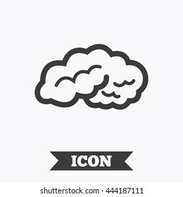 Brain sign icon. Human intelligent smart mind. Graphic design element. Flat brain symbol on white background. Vector