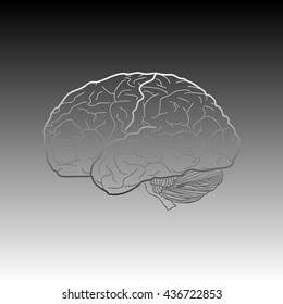 Brain sign illustration. Gradient icon on gradient background.