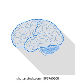 Brain sign illustration. Vector. Azure icon with flat style shadow path on white background.