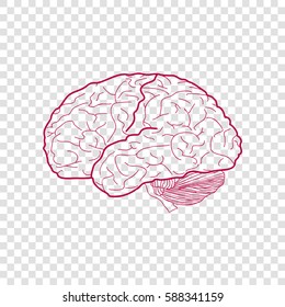 Brain sign illustration. Vector. Bordo icon on transparent background.