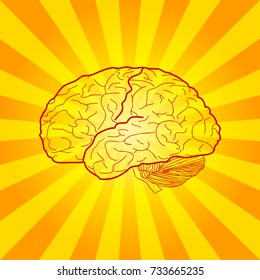 Brain sign illustration. Vector. Dark red linear icon on yellowish rays as background.