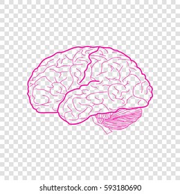 Brain sign illustration. Vector. Magenta icon on transparent background.
