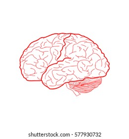 Brain sign illustration. Vector. Red icon on white background. Isolated.