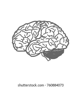 Brain sign illustration. Vector. Shaded gray icon on white background. Isolated.