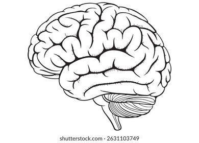 Icono de silueta cerebral Ilustración vectorial simple
