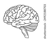 brain silhouette icon Simple view of the brain, thin line vector illustration of the human brain in flat style, black and white.