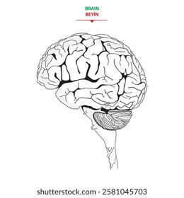 brain silhouette icon Simple view of the brain, thin line vector illustration of the human brain in flat style, black and white.