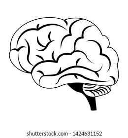 brain size view icon cartoon isolated vector illustration graphic design