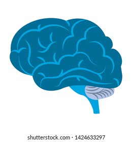 brain size view icon cartoon isolated vector illustration graphic design