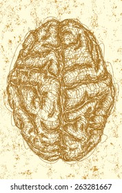 Brain 
A sketch of the top view of a brain over an abstract background. The artwork and background are on separate labeled layers.