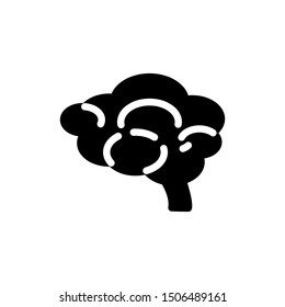 brain solid icon sign. brain symbol, logo illustration. Different style icons set. Pixel perfect vector graphics - Vector