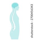 Brain and spinal cord vector illustration