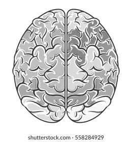 brain storming isolated icon