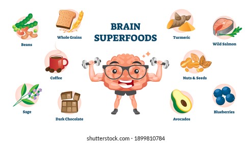 Brain super foods as nutrition products for improving memory and brainpower. Diet supplements for mental health benefits and boosting cognition. Educational vector illustration with cartoon character