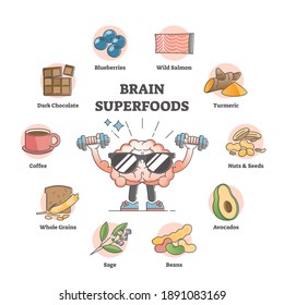Brain superfoods as nutrition diet products to improve memory outline concept. Diet supplement for mental benefits and boost learning with right eating vector illustration. Educational labeled graphic