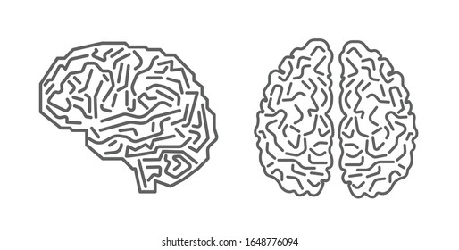 Brain top and side view. Digital human brain with computer circuit board.