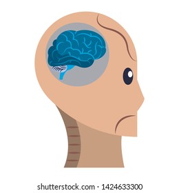 brain top view icon cartoon isolated vector illustration graphic design