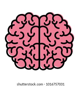 brain top view in watercolor silhouette with thick contour