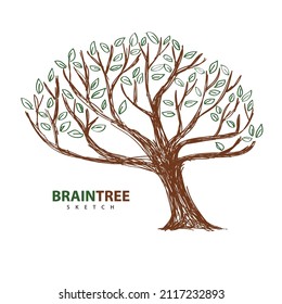 Brain tree design. Brain doodle hand drawn vector illustration.