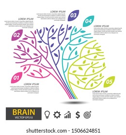 Brain tree design. infographic template for presentation. vector illustration.