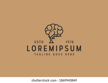 Brain tree icon design. illustration of Brain growth. Vintage logo design vector line icon template