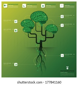 Brain Tree And Root Infographic Science Background Design Template