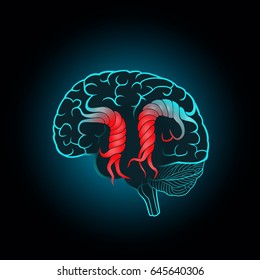Brain with the twisted convolutions, of the destruction of the brain, memory, stroke, disruption of the normal activities of the brain