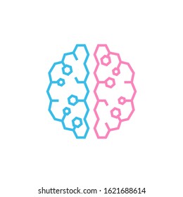 Brain. The two halves of the whole brain of pink and blue. Man and woman thinking concept. Stock vector illustration isolated on white background.
