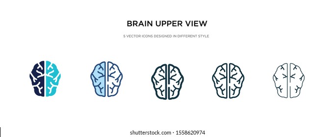 brain upper view icon in different style vector illustration. two colored and black brain upper view vector icons designed in filled, outline, line and stroke style can be used for web, mobile, ui