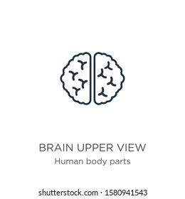 Brain upper view icon. Thin linear brain upper view outline icon isolated on white background from human body parts collection. Line vector sign, symbol for web and mobile