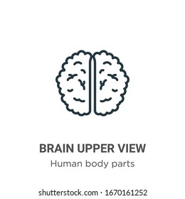 Brain upper view outline vector icon. Thin line black brain upper view icon, flat vector simple element illustration from editable human body parts concept isolated stroke on white background