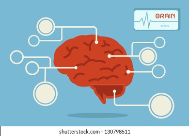 brain, vector