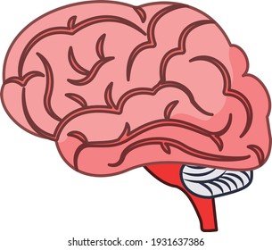 Brain vector art and illustration