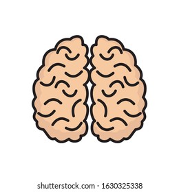 Brain Vector. Colorful Cartoon Science.