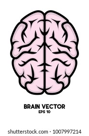 brain vector file