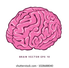 Brain Vector File