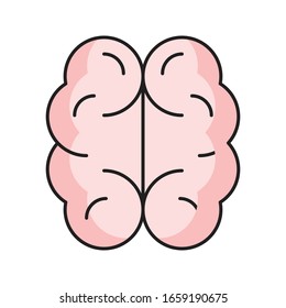 brain vector flat color icon 