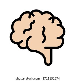 brain vector flat color icon 